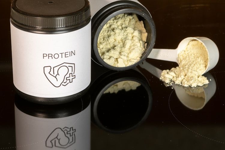 macronutrient protein