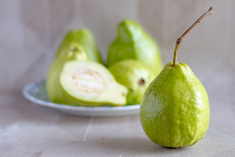 Guava fruit